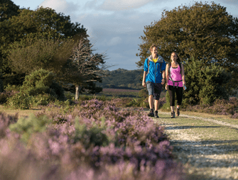 Ontspannen in New Forest